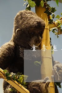 金条逾期不还款会怎么样 金条逾期不还款会怎么样