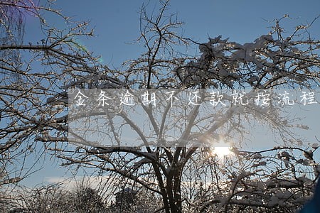 金条逾期不还款就按流程走 金条逾期不还款就按流程走