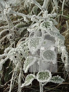 金条逾期两万 金条逾期两万