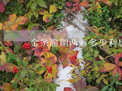 金条逾期两万多少利息