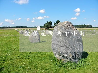 金条逾期两个小时 金条逾期两个小时