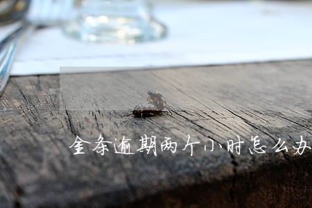 金条逾期两个小时怎么办 金条逾期两个小时怎么办