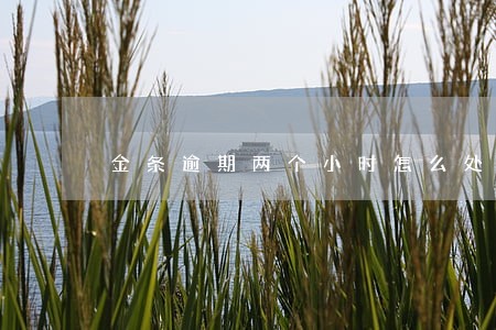 金条逾期两个小时怎么处理 金条逾期两个小时怎么处理
