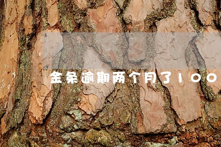 金条逾期两个月了10000 金条逾期两个月了10000