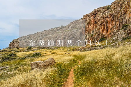 金条逾期两个月以上 金条逾期两个月以上