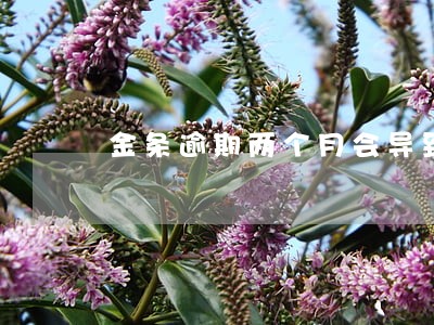 金条逾期两个月会导致什么 金条逾期两个月会导致什么