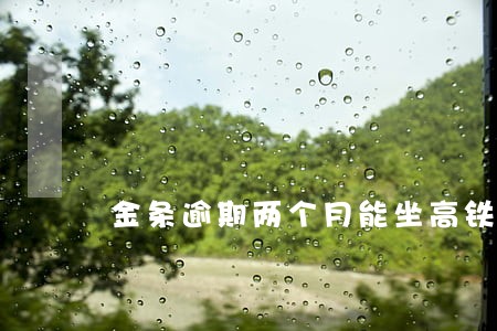 金条逾期两个月能坐高铁吗 金条逾期两个月能坐高铁吗