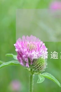 金条逾期两个月要上征信 金条逾期两个月要上征信