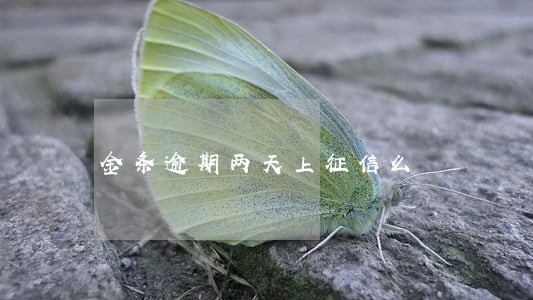 金条逾期两天上征信么 金条逾期两天上征信么