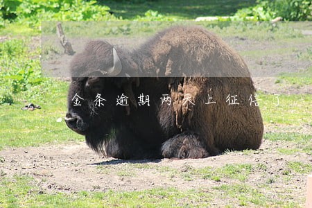 金条逾期两天上征信了 金条逾期两天上征信了