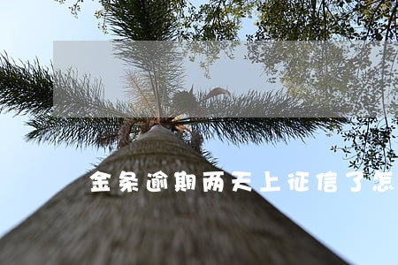 金条逾期两天上征信了怎么办
