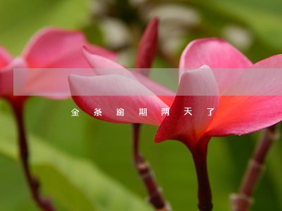 金条逾期两天了 金条逾期两天了