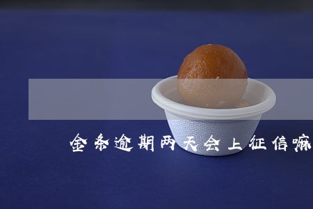 金条逾期两天会上征信嘛 金条逾期两天会上征信嘛