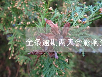 金条逾期两天会影响买房吗 金条逾期两天会影响买房吗