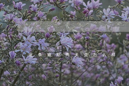 金条逾期两天会怎么样