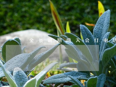 金条逾期两天会打电话过来 金条逾期两天会打电话过来