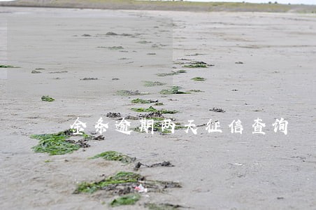 金条逾期两天征信查询 金条逾期两天征信查询