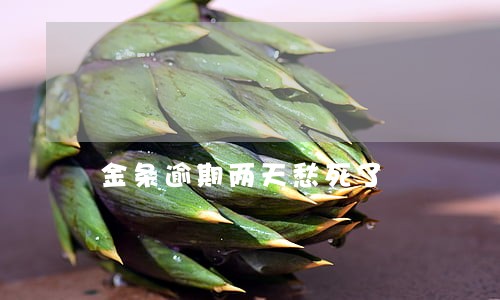 金条逾期两天愁死了 金条逾期两天愁死了