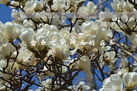 金条逾期两天的后果 金条逾期两天的后果