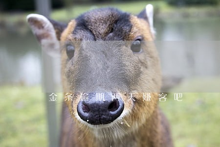 金条逾期两天赚客吧 金条逾期两天赚客吧