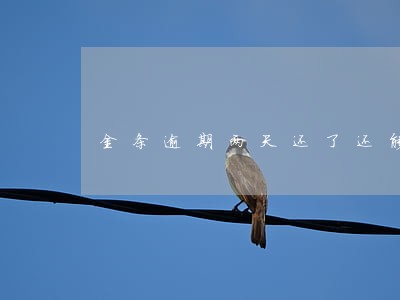 金条逾期两天还了还能借嘛