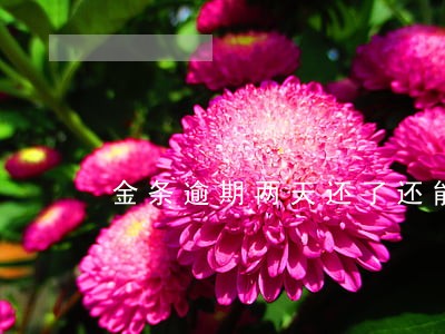 金条逾期两天还了还能用吗