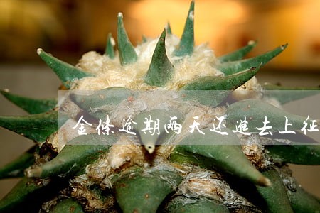 金条逾期两天还进去上征信吗 金条逾期两天还进去上征信吗