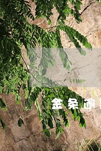 金条逾期两月多会上门吗 金条逾期两月多会上门吗