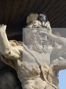 金条逾期严重嘛 金条逾期严重嘛