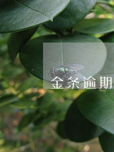 金条逾期严重被诉讼会面临什么 金条逾期严重被诉讼会面临什么