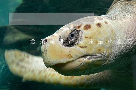 金条逾期严重还是小额花钱 金条逾期严重还是小额花钱