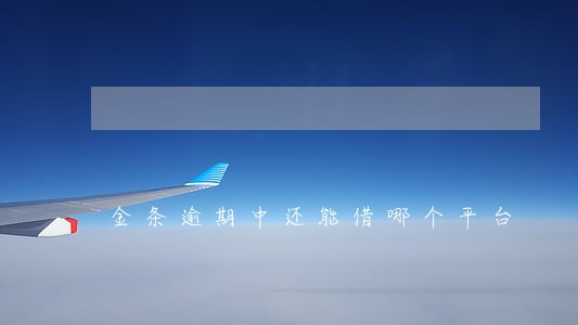 金条逾期中还能借哪个平台 金条逾期中还能借哪个平台