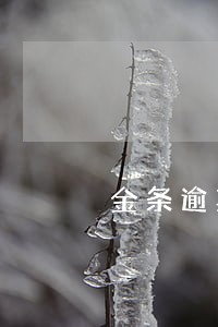 金条逾期之后怎么算利息 金条逾期之后怎么算利息
