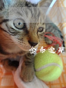 金条逾期了100多天