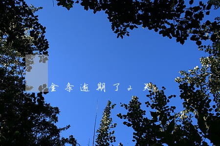 金条逾期了2天 金条逾期了2天
