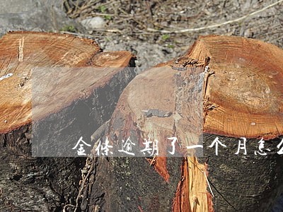 金条逾期了一个月怎么办 金条逾期了一个月怎么办