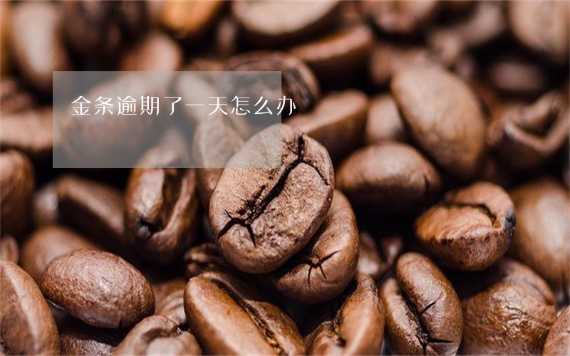 金条逾期了一天怎么办 金条逾期了一天怎么办