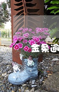 金条逾期了一天还款后不影响 金条逾期了一天还款后不影响
