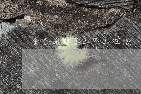 金条逾期了上不上征信 金条逾期了上不上征信