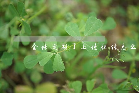 金条逾期了上传征信怎么办 金条逾期了上传征信怎么办