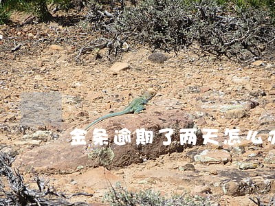 金条逾期了两天怎么办 金条逾期了两天怎么办