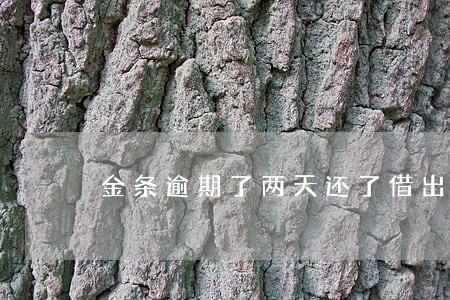 金条逾期了两天还了借出来了 金条逾期了两天还了借出来了