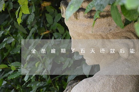金条逾期了五天还款后能借吗