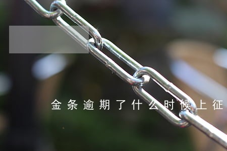 金条逾期了什么时候上征信 金条逾期了什么时候上征信