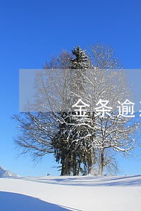 金条逾期了会上门吗 金条逾期了会上门吗