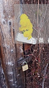 金条逾期了会去村委会吗