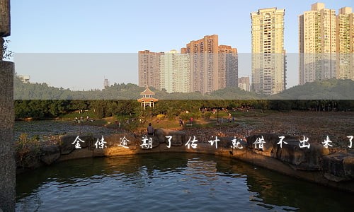 金条逾期了估计就借不出来了 金条逾期了估计就借不出来了