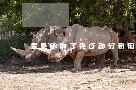 金条逾期了先还部分有用吗 金条逾期了先还部分有用吗