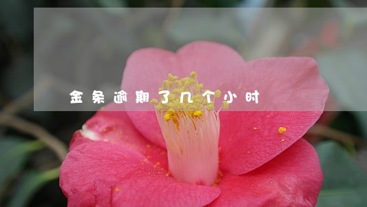 金条逾期了几个小时 金条逾期了几个小时