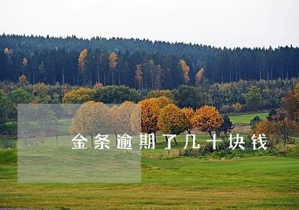 金条逾期了几十块钱 金条逾期了几十块钱
